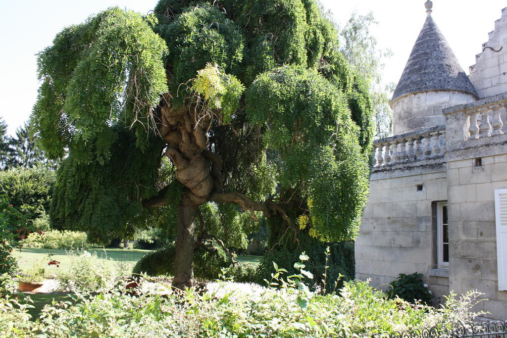 La Barbotine Bed & Breakfast Septmonts Luaran gambar